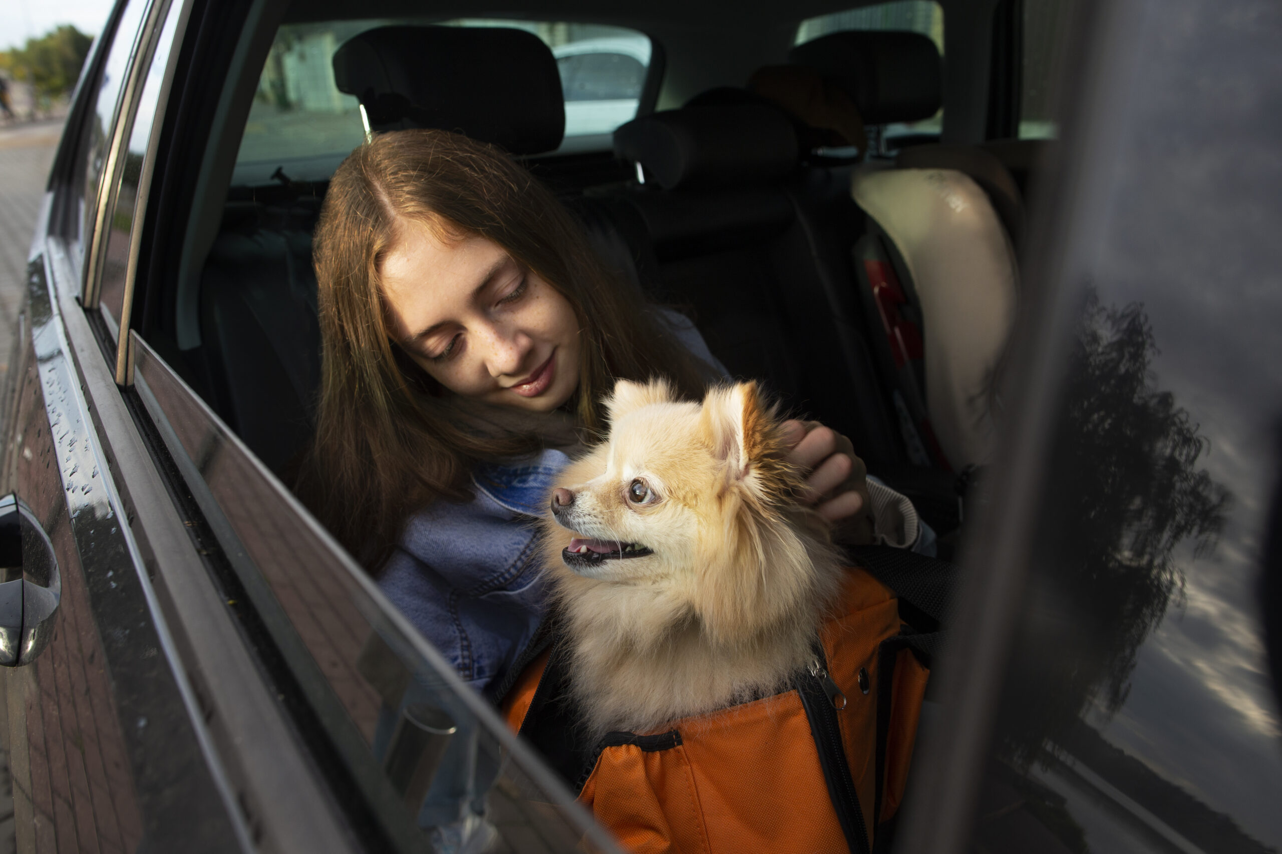 Mulher está no banco traseiro do carro segurando seu cachorro que está em uma bolsa para transporte.