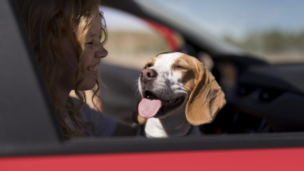 Janela de um carro onde mostra mulher sorrindo e seu cachorro com a língua para fora.
